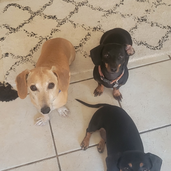 Meet your Posher, Shendy - Picture 1 of 4